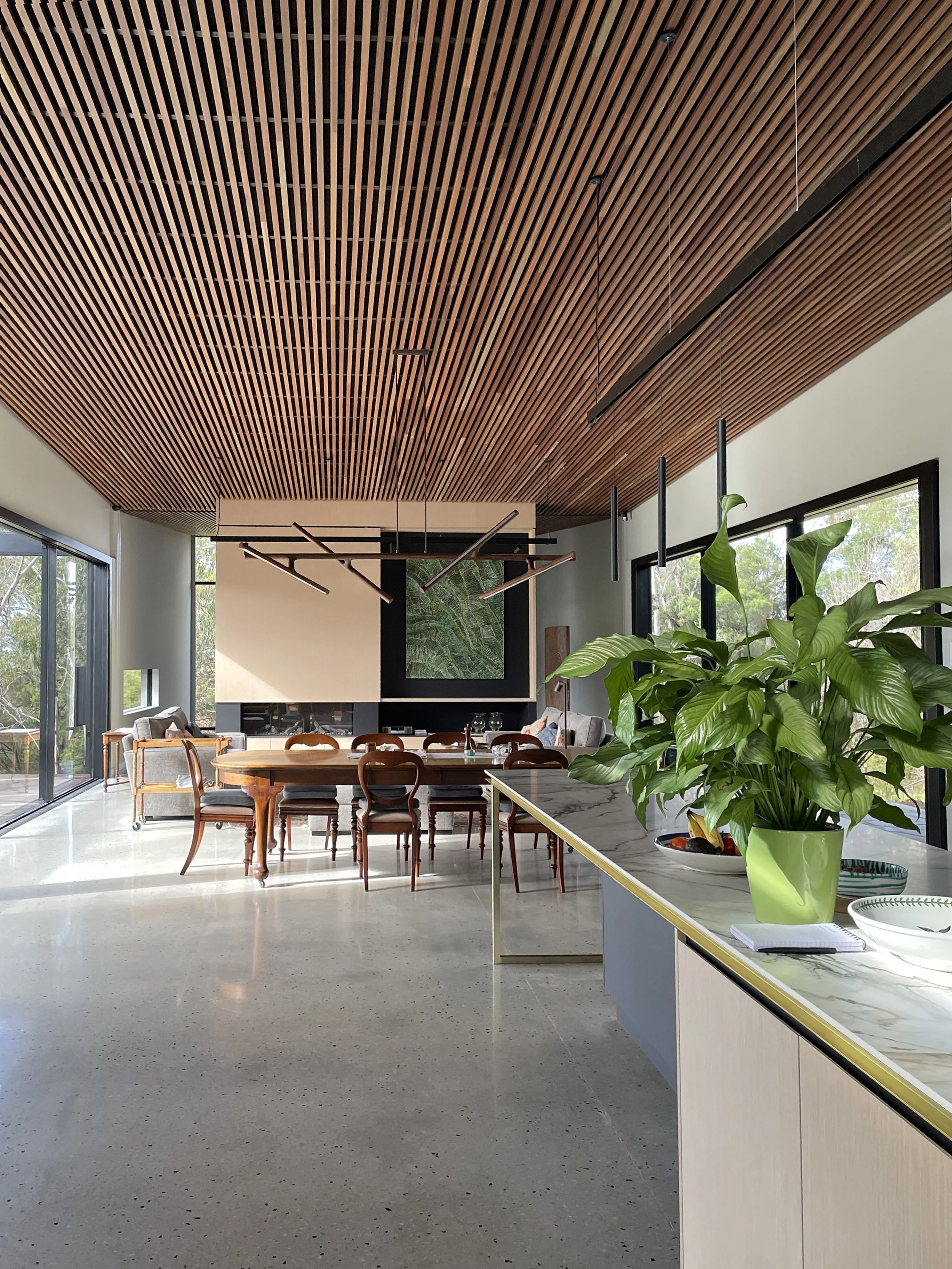 Modern indoor space with a wooden slatted ceiling, large windows, a dining table with chairs, a sofa, and a large green houseplant on a white marble counter.