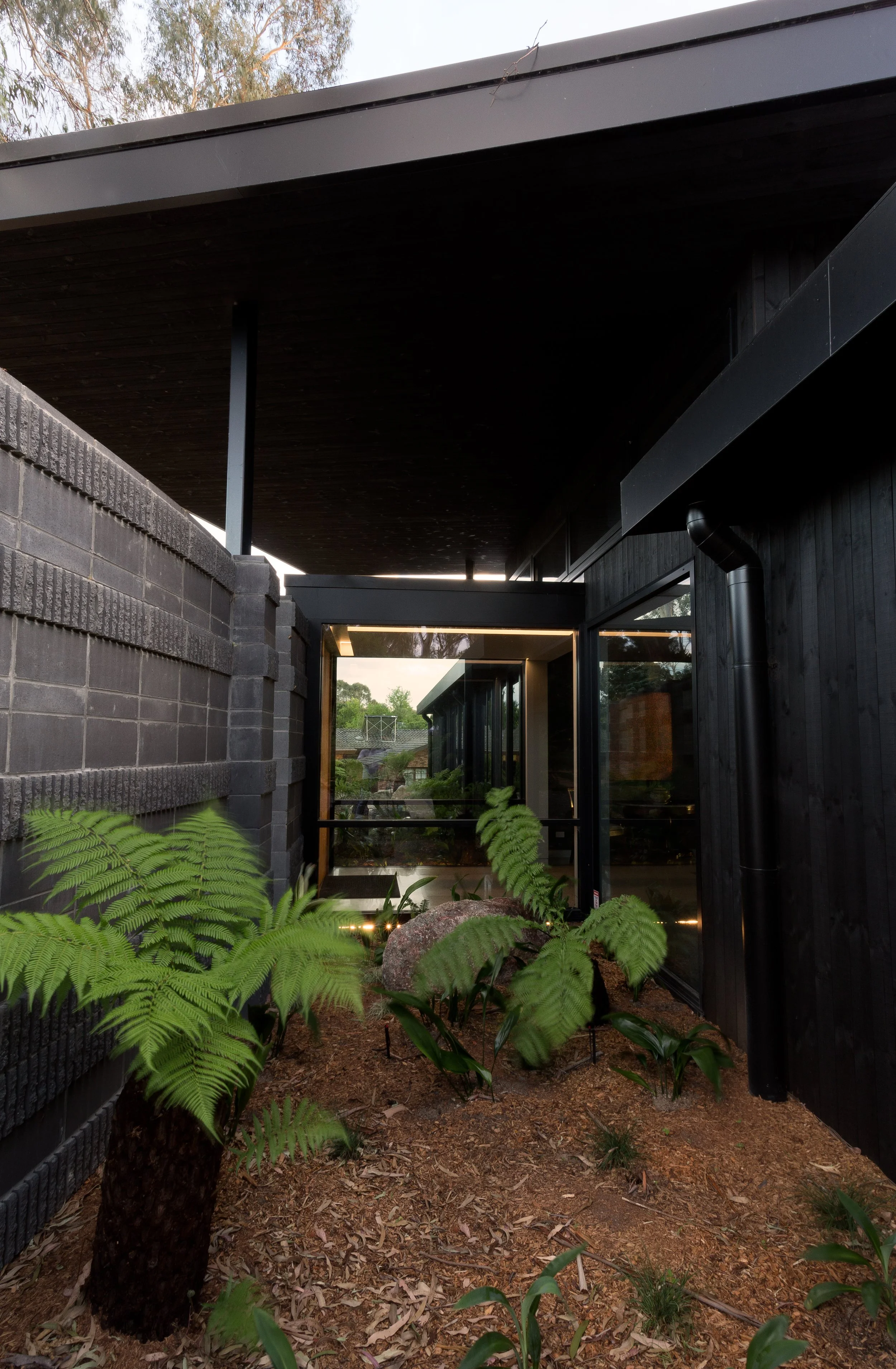 A modern building exterior featuring black walls, large glass windows, a slanted roof, and a small garden with ferns and rocks in the foreground.