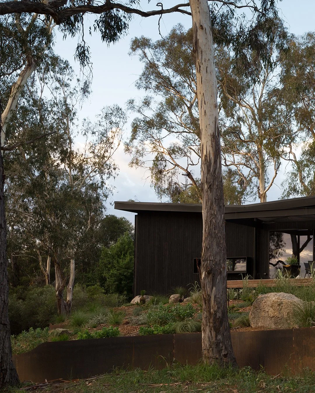 Modern black house partially hidden behind trees and rocks in a wooded area during daytime.