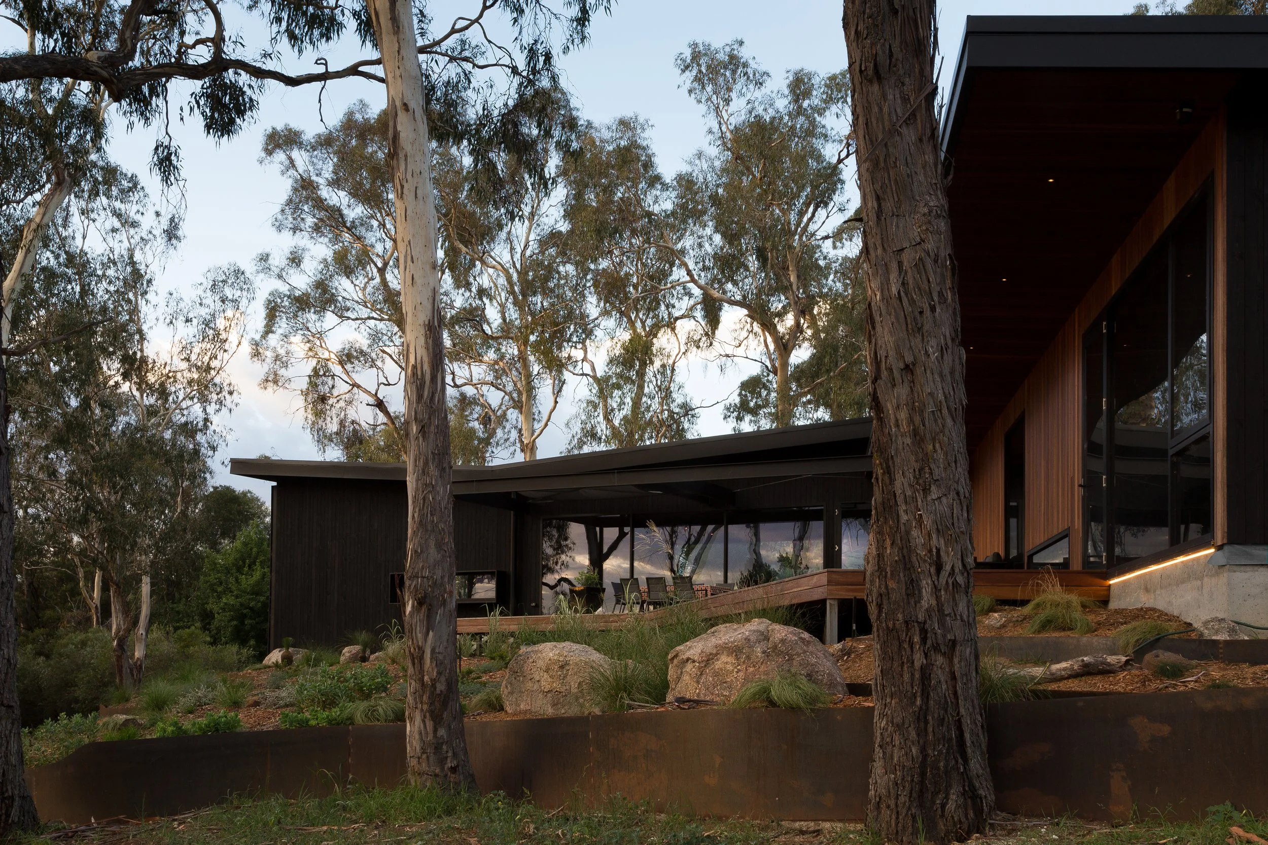 Modern house with large windows partially concealed by tall trees in a natural setting during dusk.