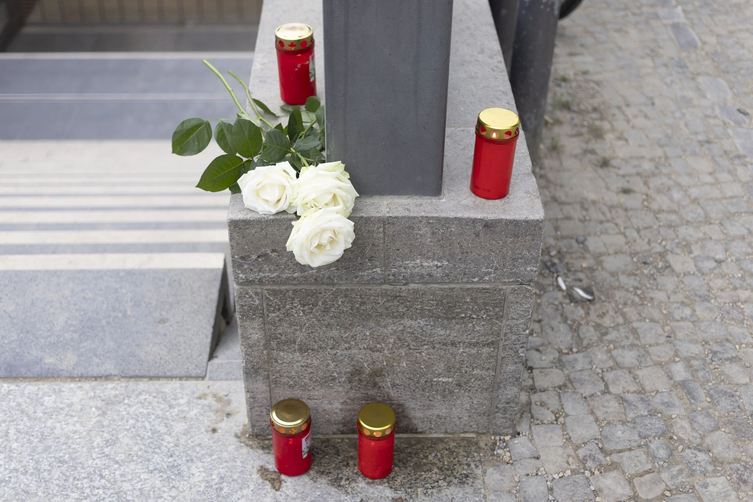 26.07.2026_ZairaBiagini_CSD VIGIL-11.jpg
