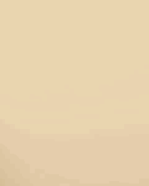 kristinp 1080x1350.GIF