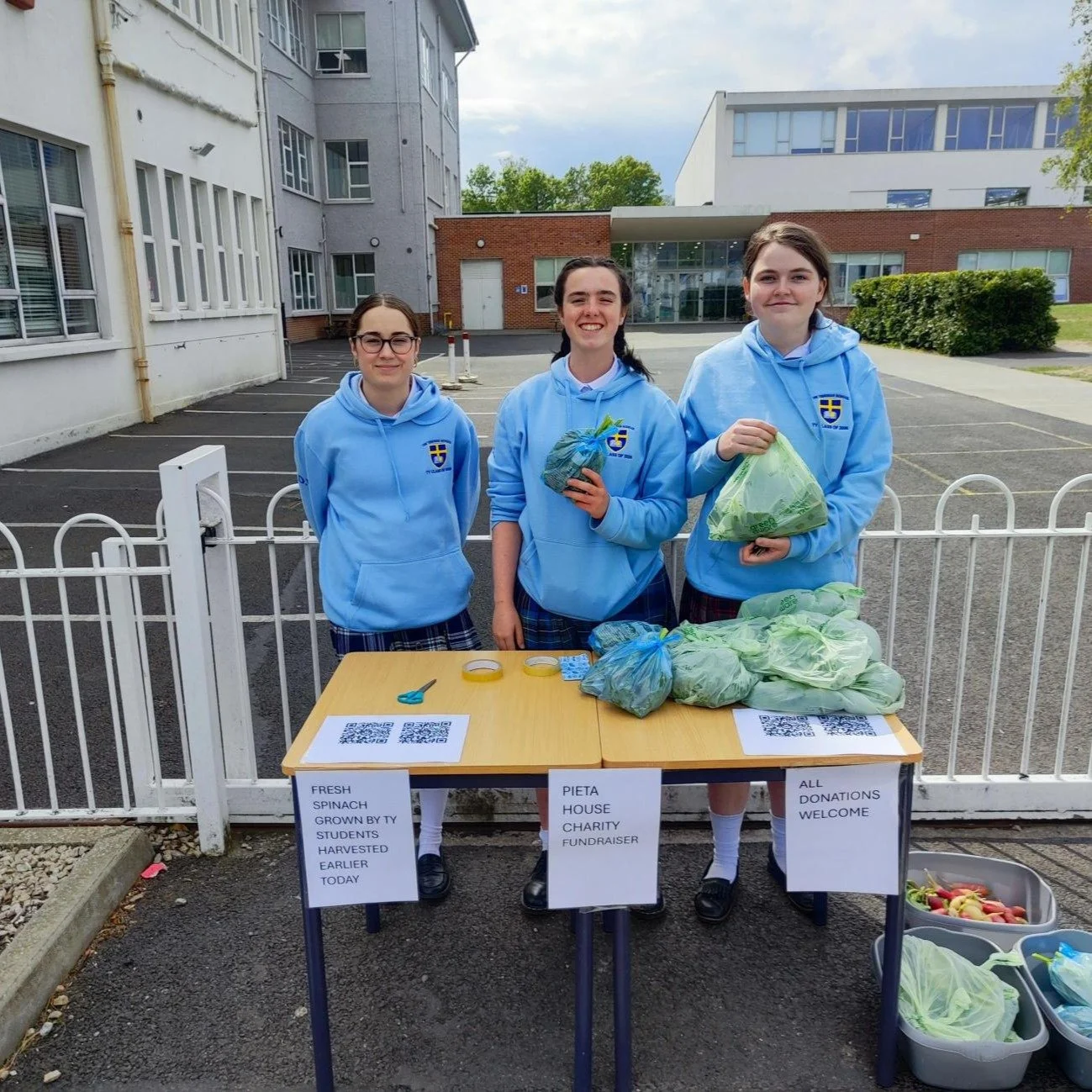 Come and visit our pop up shop for freshly picked spinach for sale today, raising money for Pieta House while stocks last!
The pop up will be back on Thursday next week too.