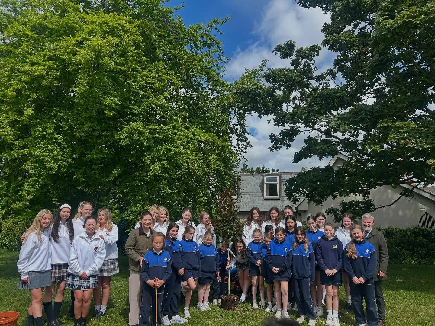Thank you to our wonderful 6th year parents for donating this beautiful magnolia tree that was planted today in memory of Rosaleen.