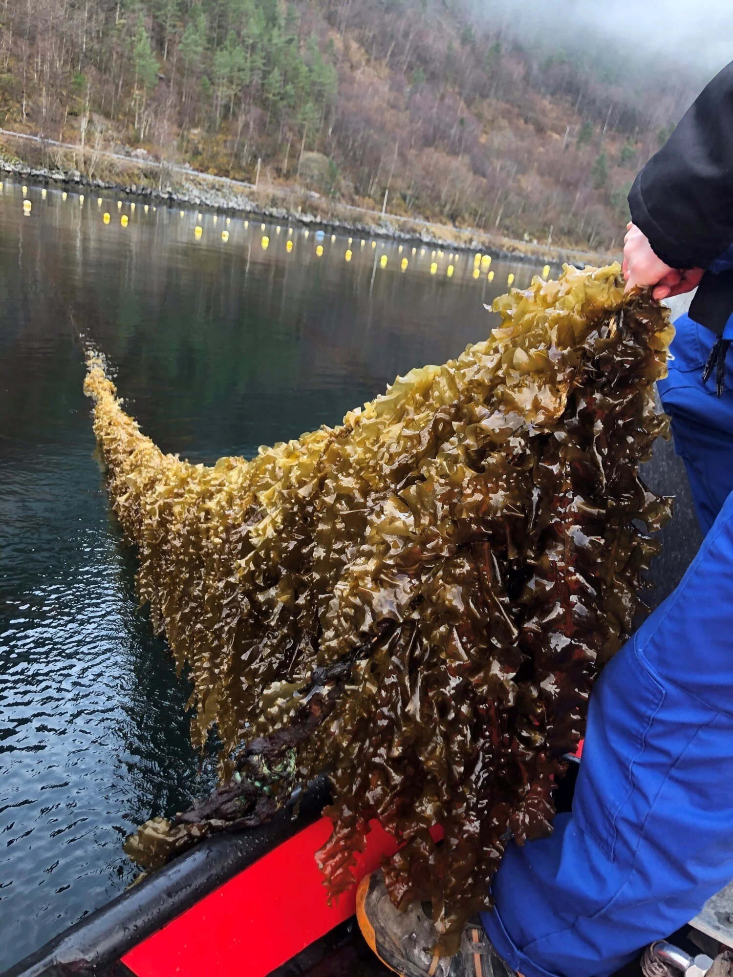Spennande tider hos Akvahub!