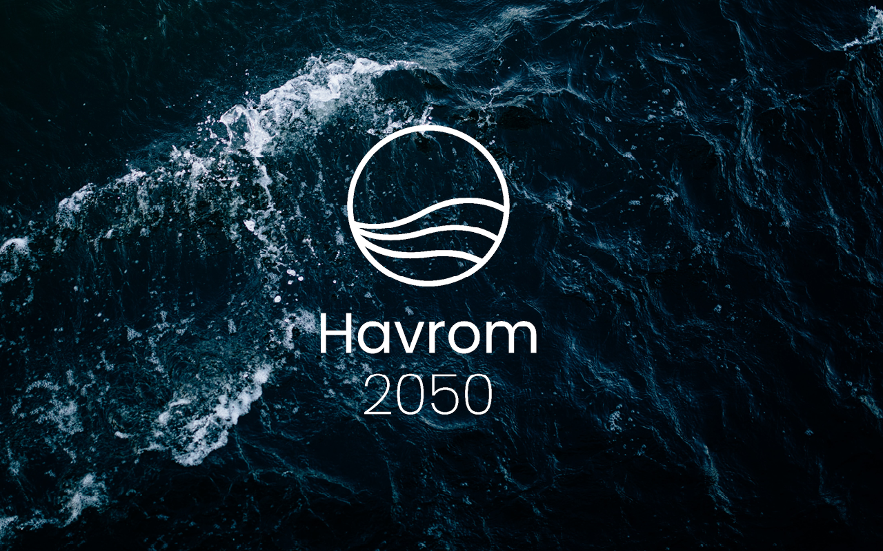 Status Havrom 2050