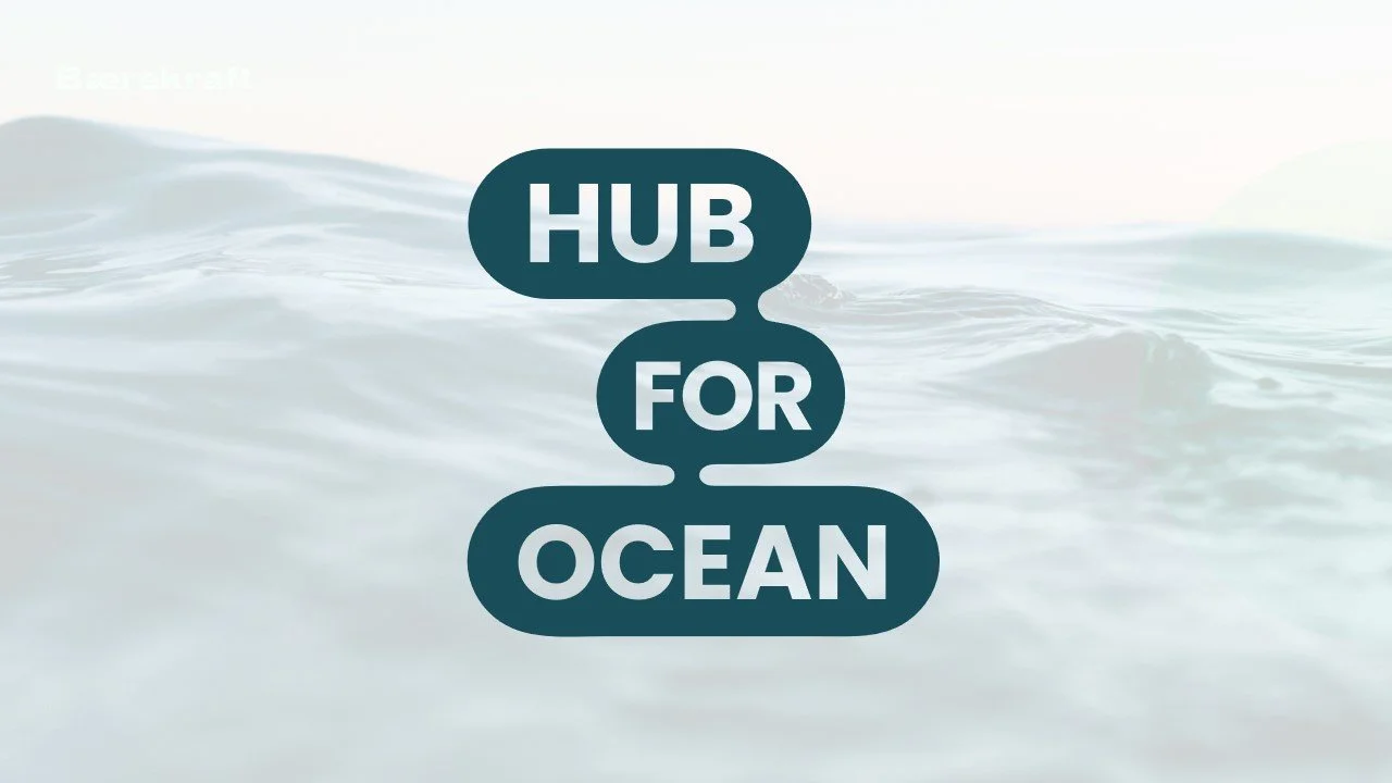 Hub for Ocean lanserer ny visuell profil