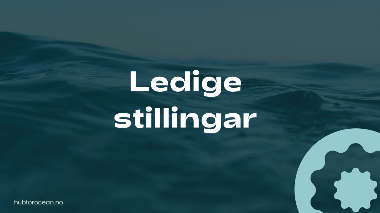 Ledige stillingar 2024