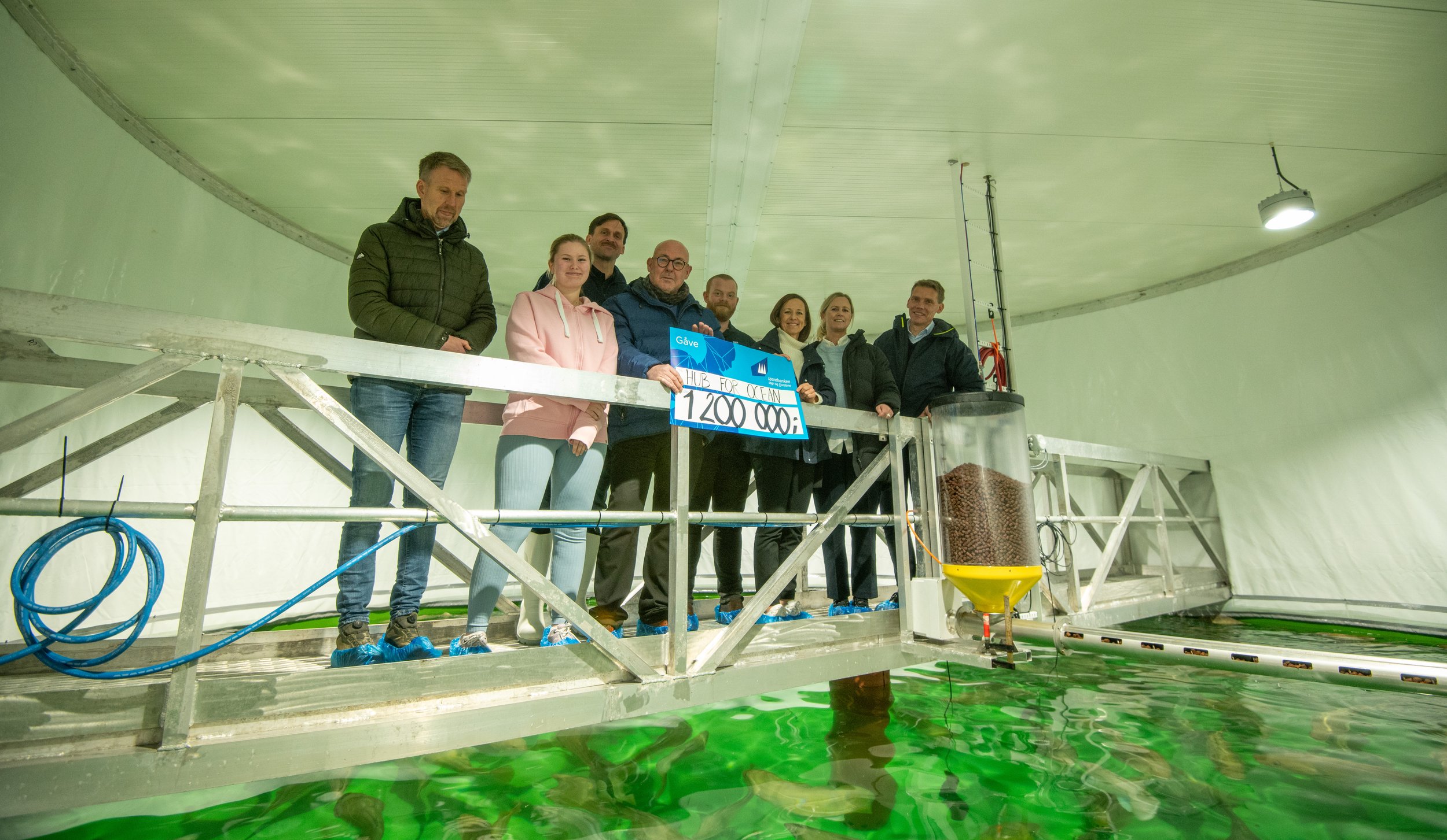Hub for Ocean søker deg som brenn for berekraftig omstilling&nbsp;