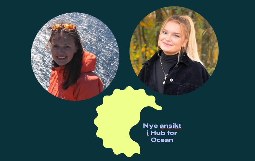 Nye tilsette i Hub for Ocean