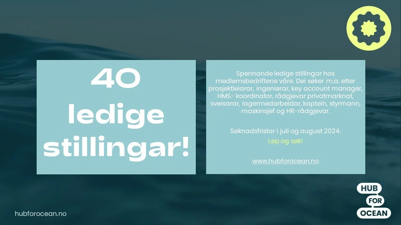 Ledige stillingar sommar 2024 