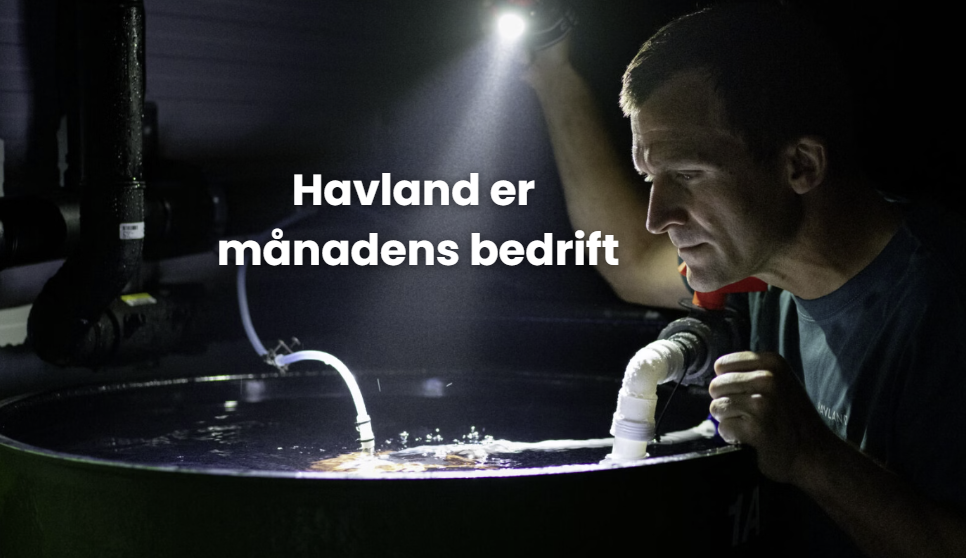 Havland kåra til “Månadens bedrift” i mai av NHO Vestland