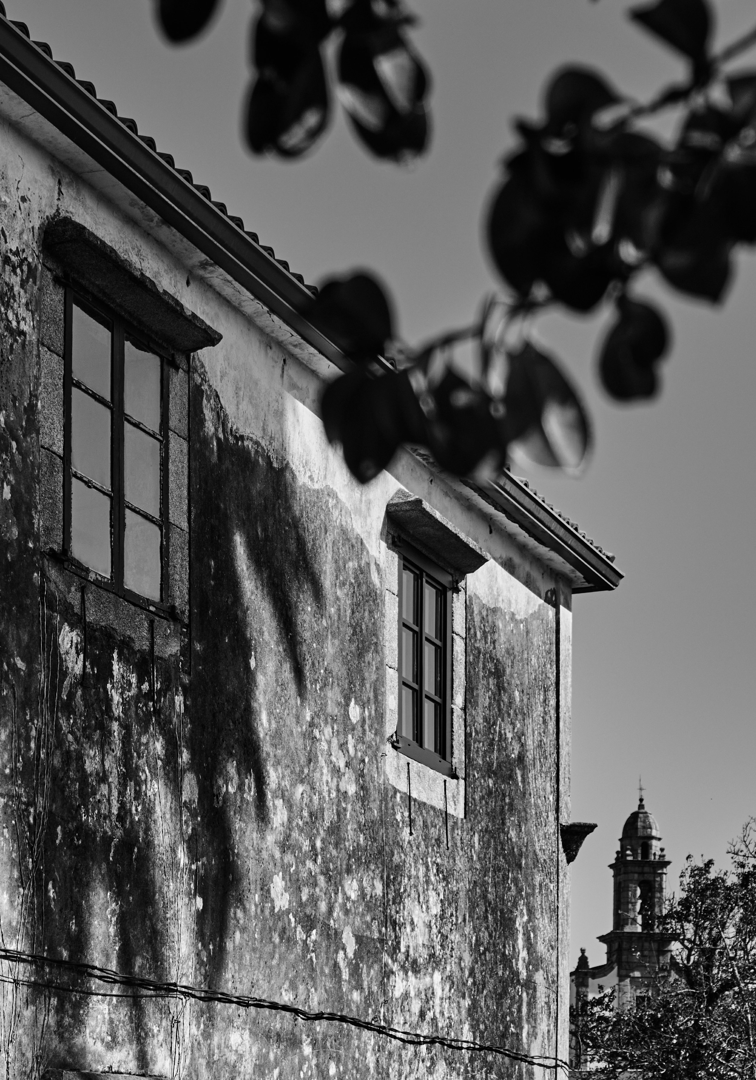 Morada Das Palmas-07.jpg
