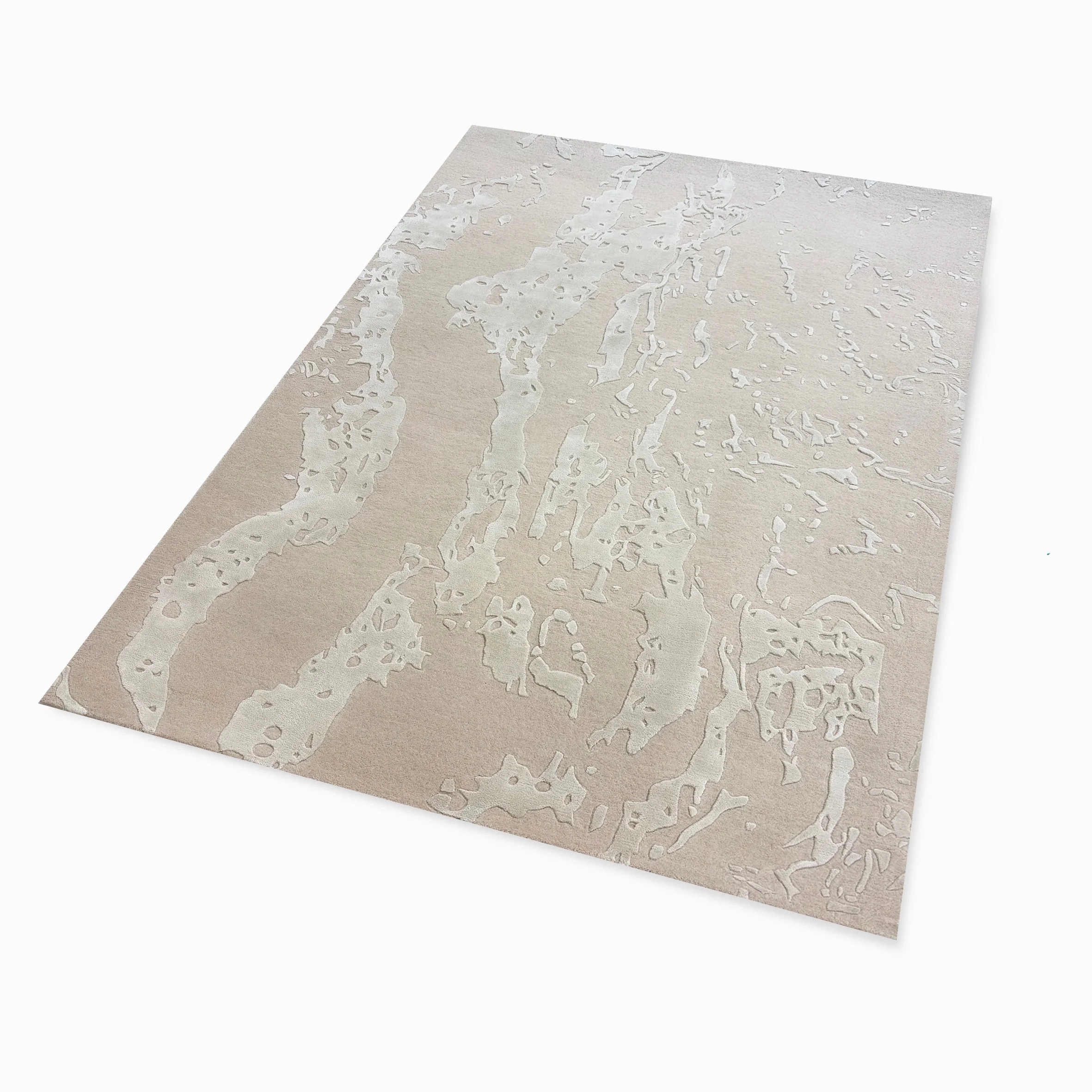 Persp Maison Chaix-suna.jpg