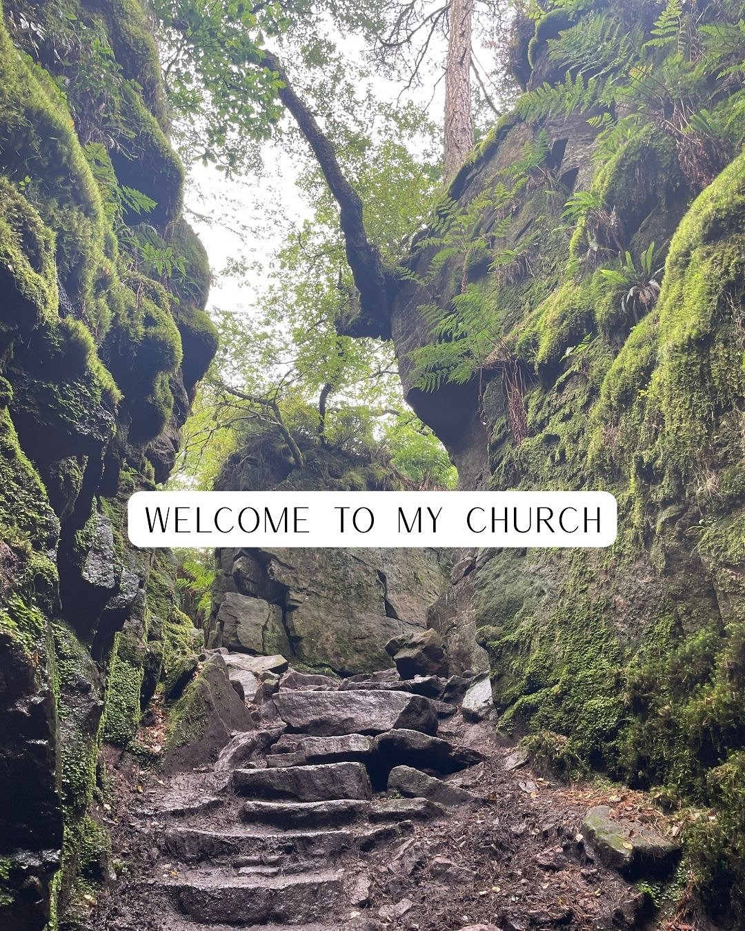 Humans are just one of an estimated 8.7 million species on Earth. 🌍
We don&rsquo;t rule this planet &mdash; we share it.
Imagine what could happen if we lived in true harmony with all the others&hellip; ✨

But it starts with us 🙋&zwj;♀️
We have to 