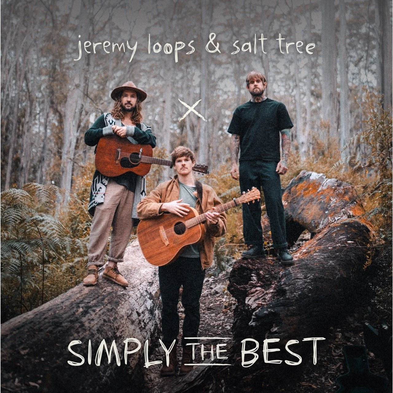 Simply The Best by Jeremy Loops and Salt Tree artwork..