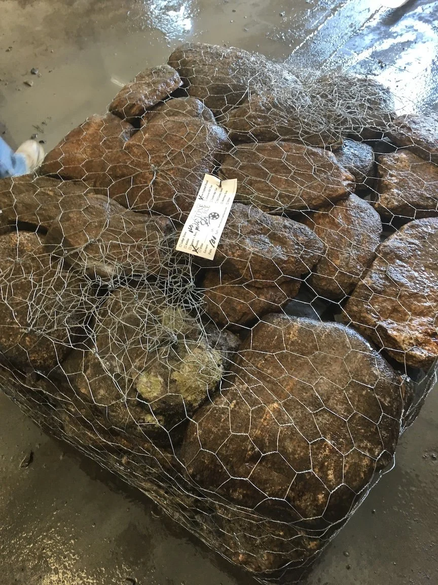 NE BLEND ROUNDS on pallet.JPG