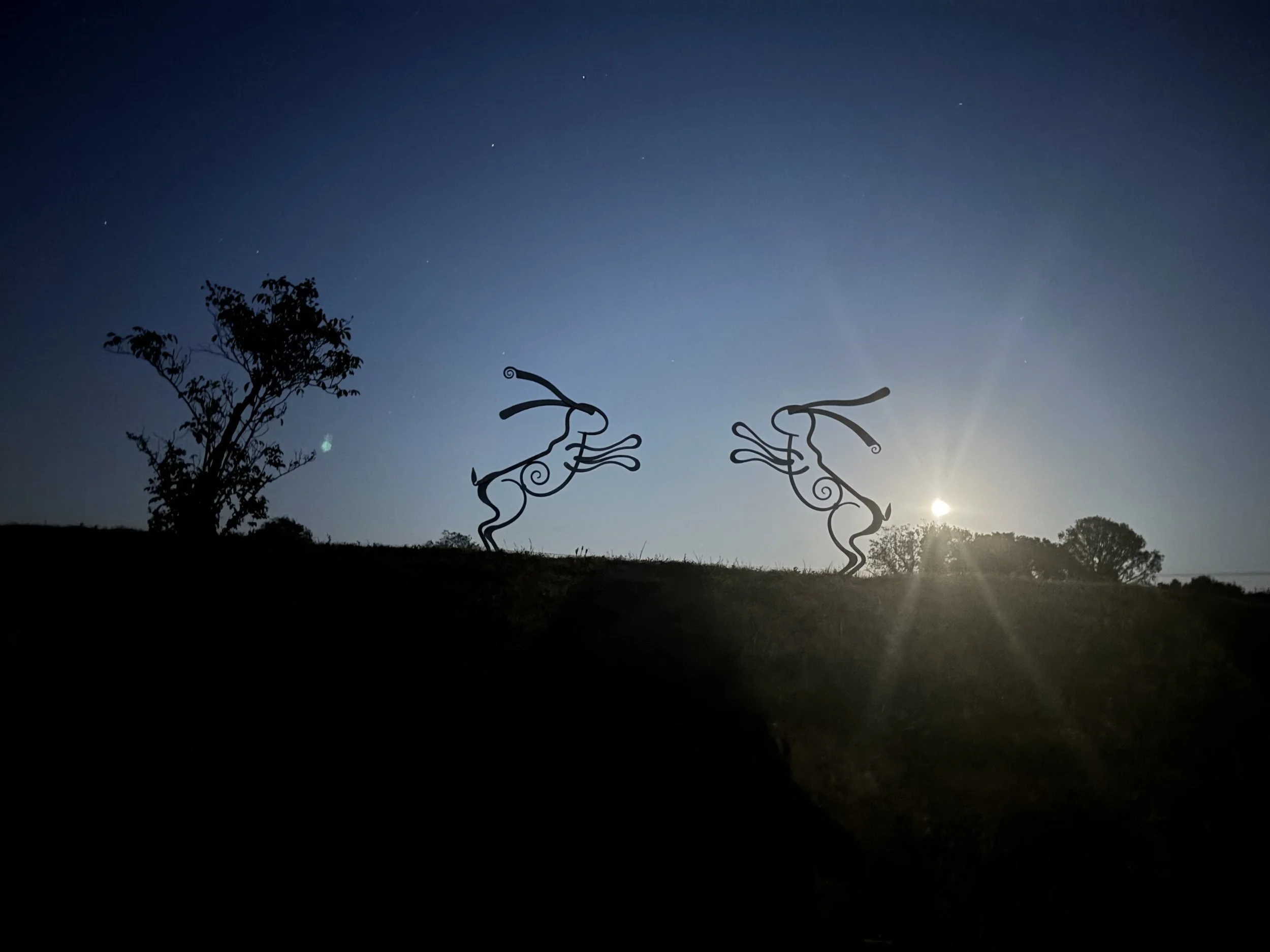 hares animal sculpture photographed in moonlight
