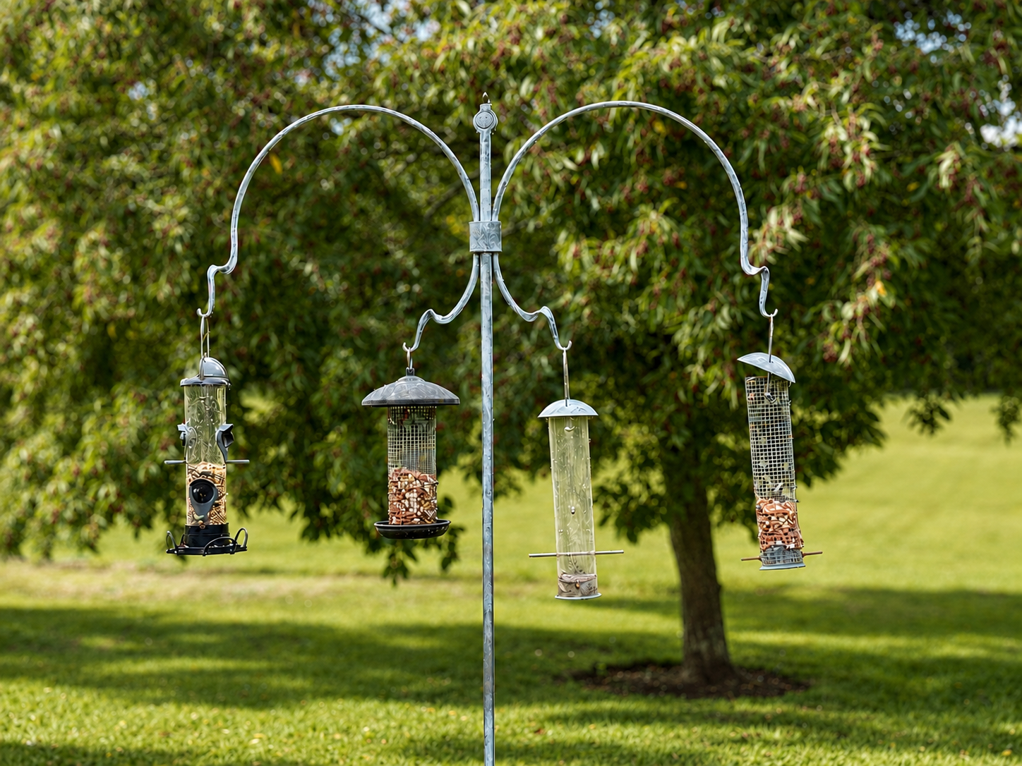 Bird Feeder