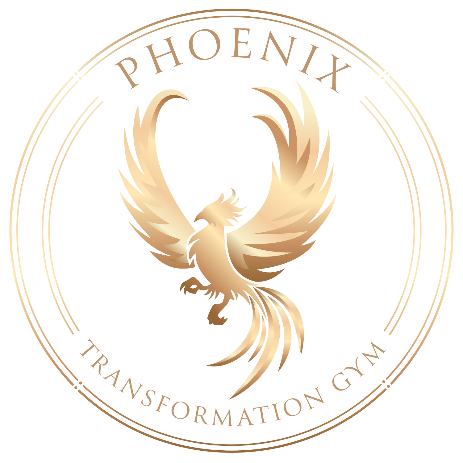 Phoenix Transformation Gym