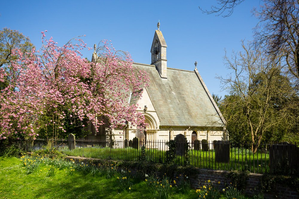  small sandstone church and church yard in the sun with an in bloom blossom tree to the left  