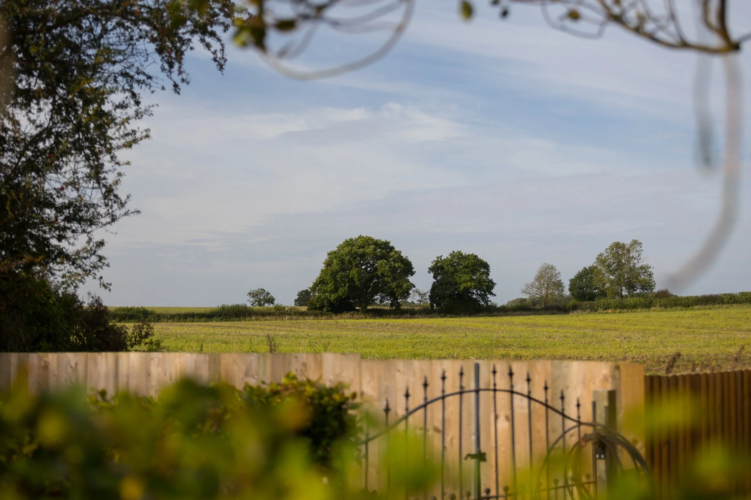shallow depth of field image looking over fields beyond garden hedgerow