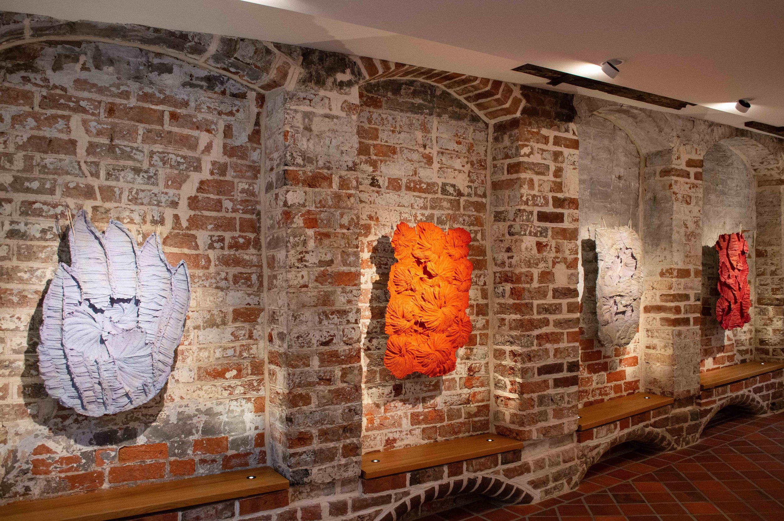 _DSC0158 Kopie 2.jpg