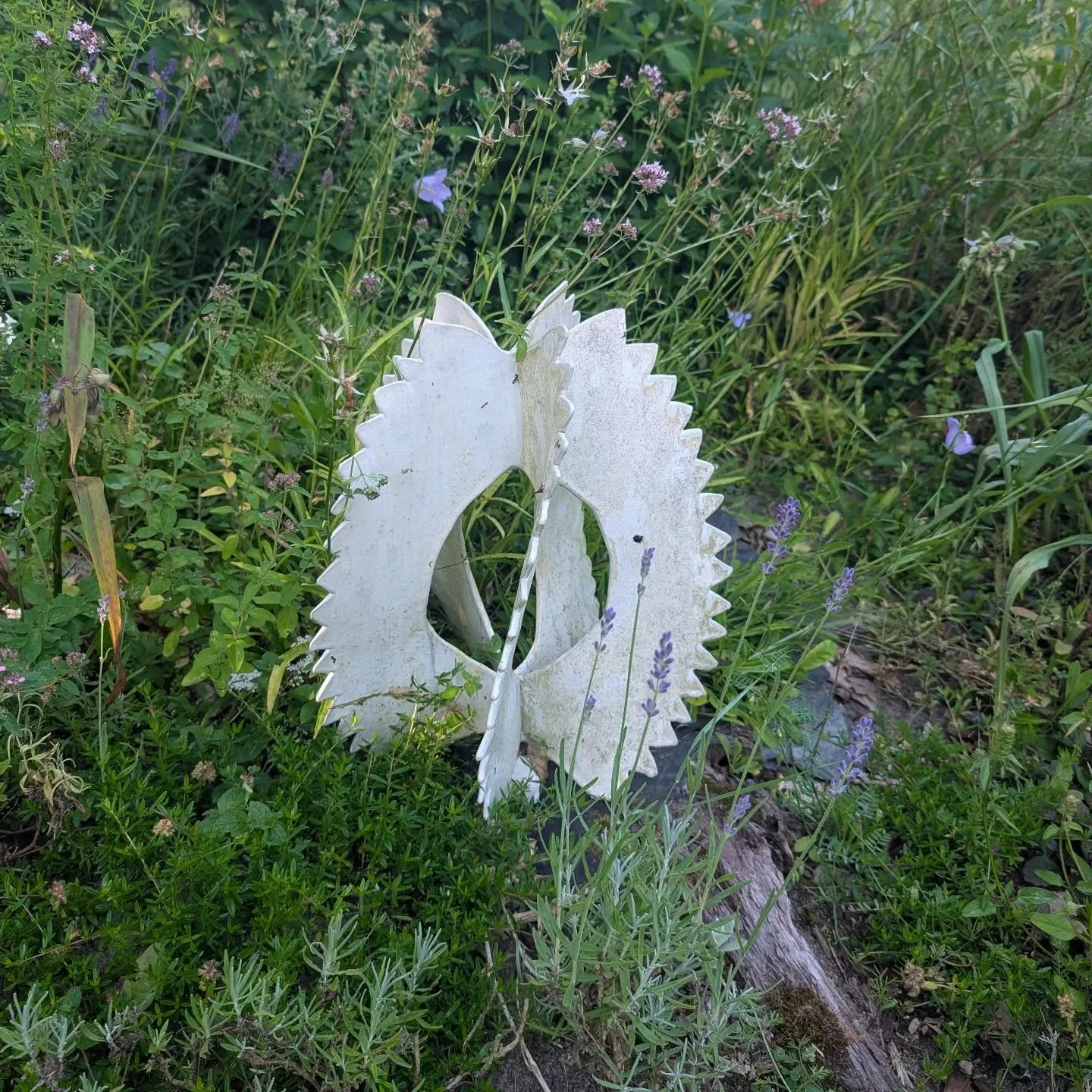 Ged&auml;chtnisfunken

#ceramic #ceramicarts #skulpture #ceramics
