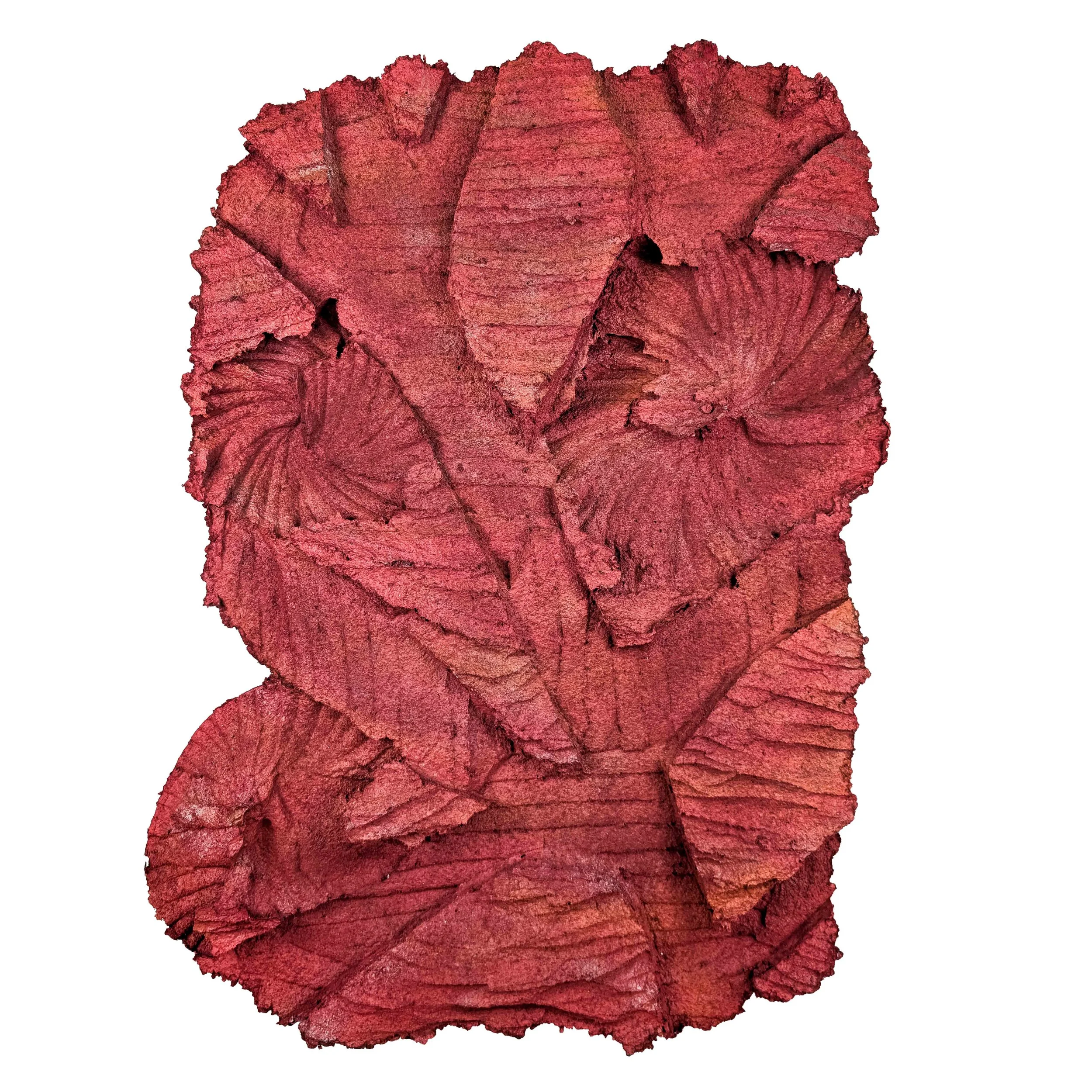 PXL_20240927_143347809 Kopie1234 Kopie_freigestellt Kopie_kl.jpg