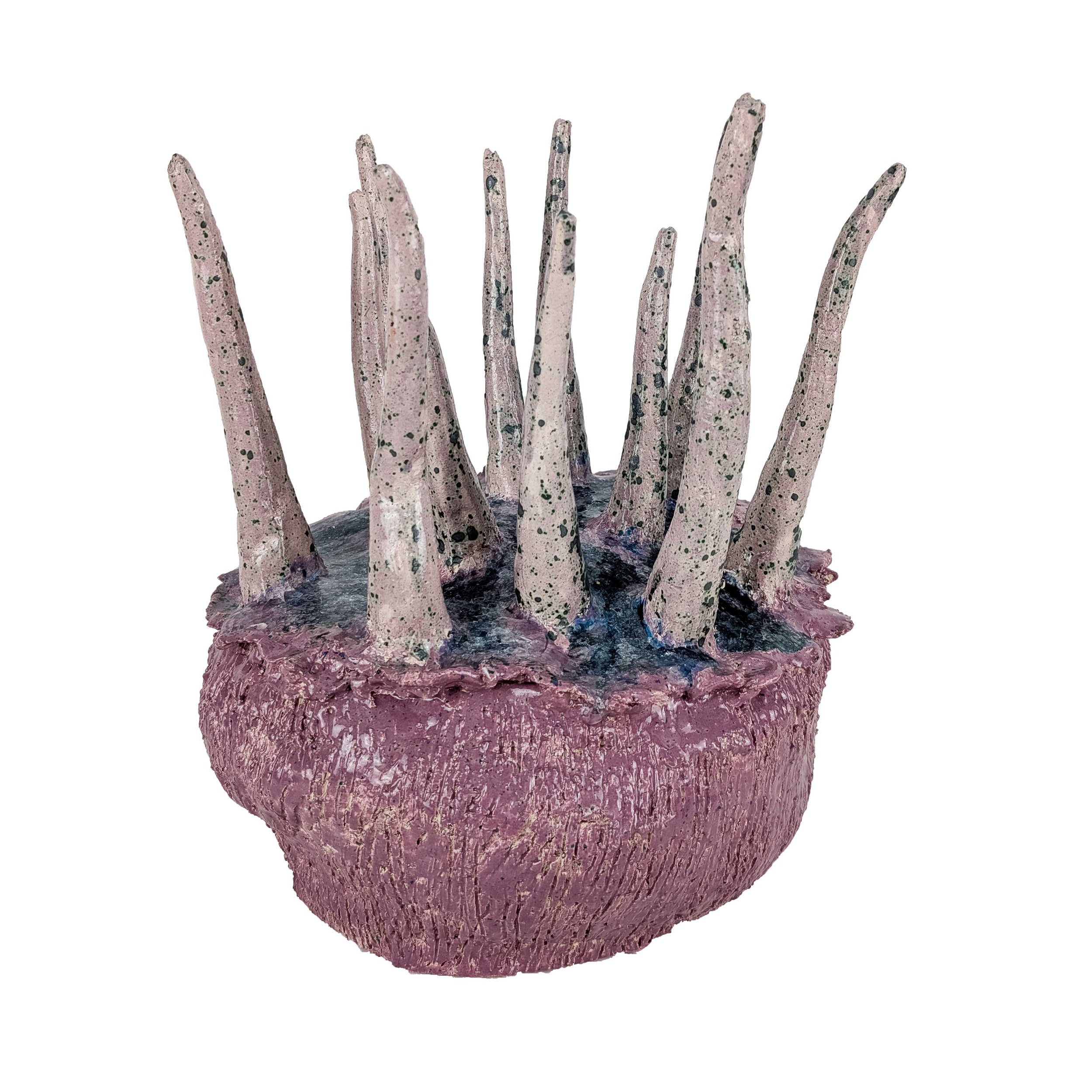 PXL_20240927_152759168 Kopie_freig.jpg