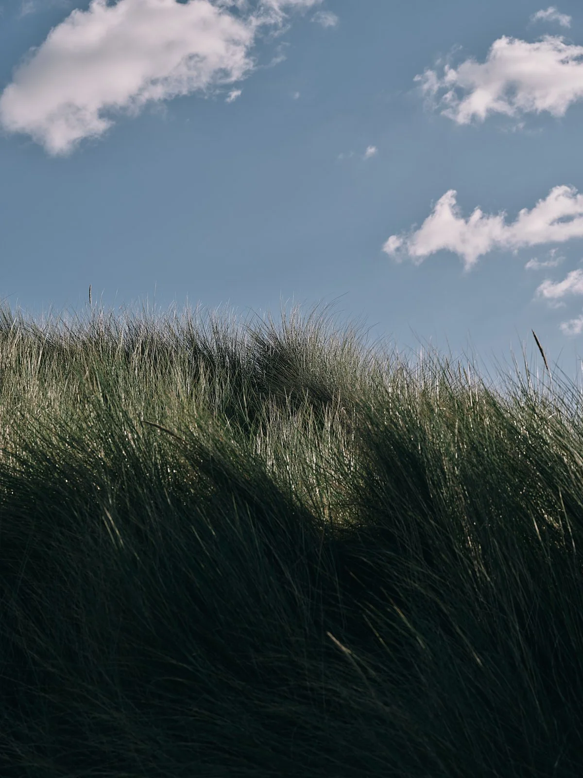 Thirty summers. You may not have more.