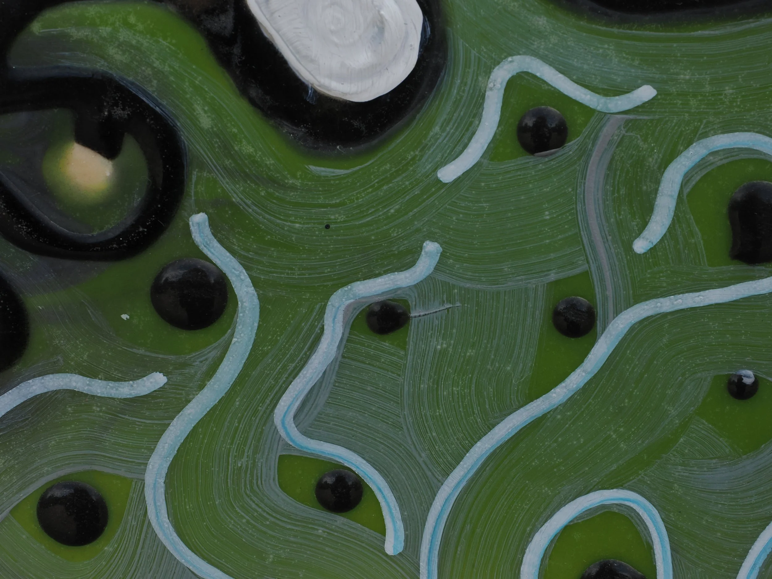 Under growth spores :dert5.JPG