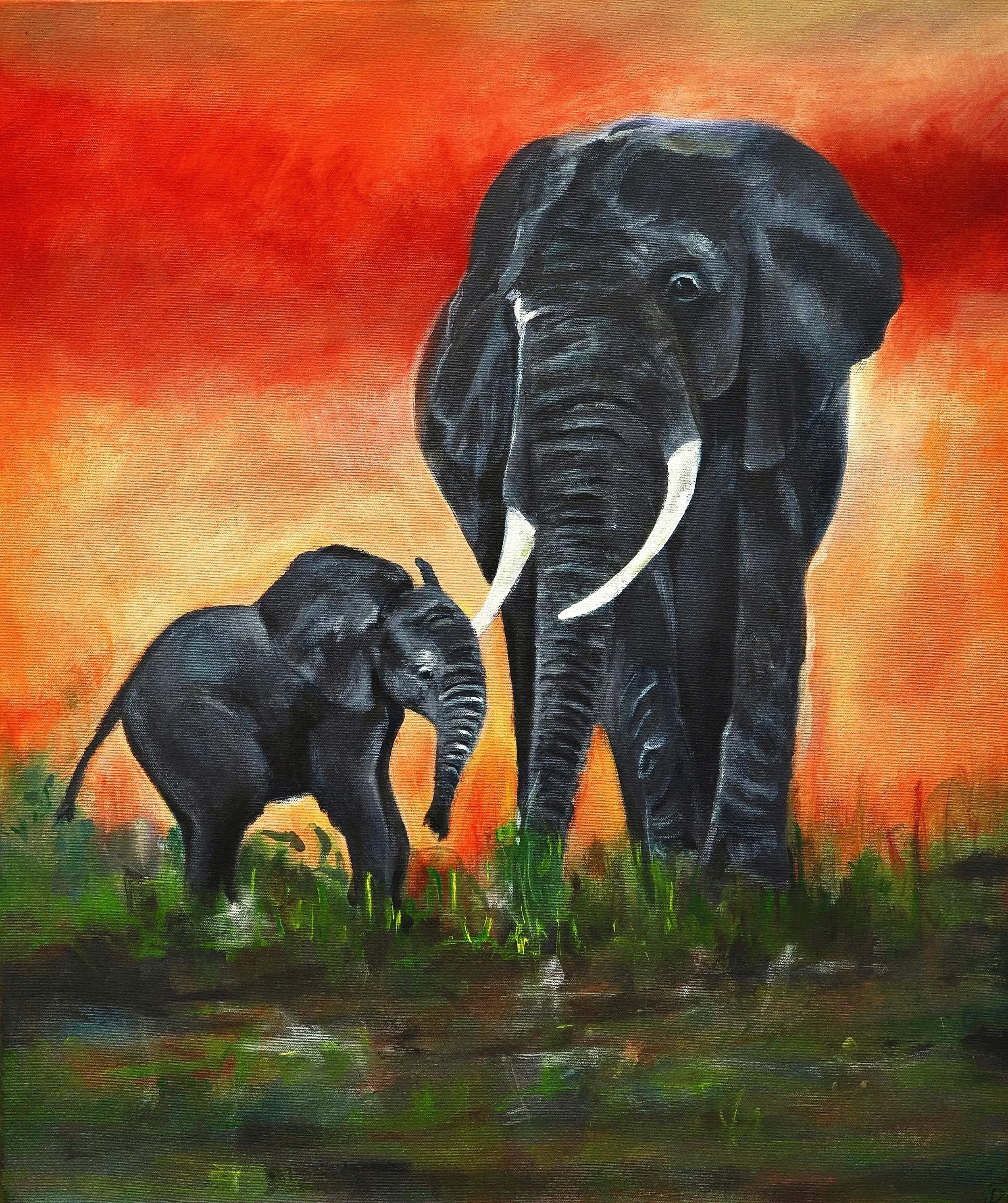 Safari Commissioned Series