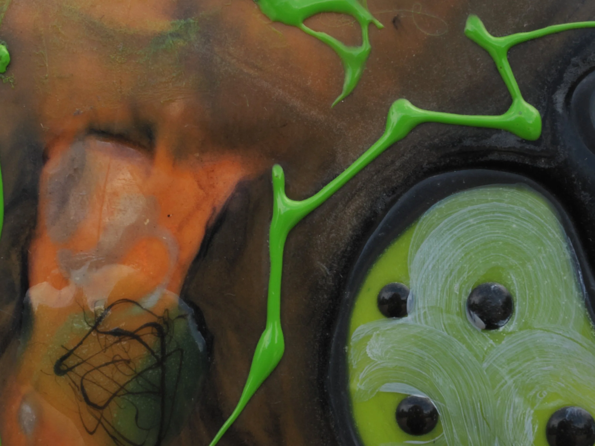 under ground spores:det:2.JPG