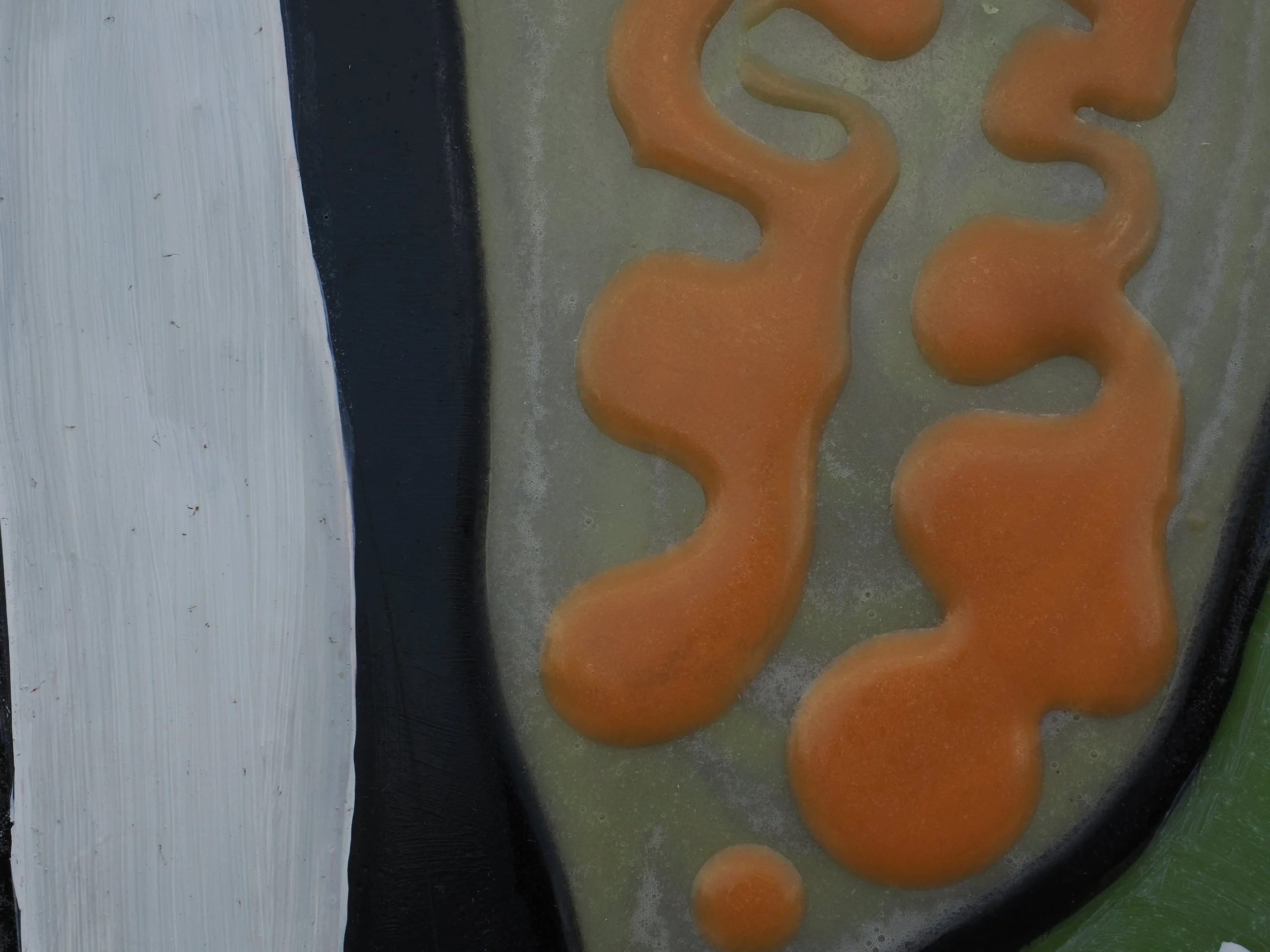 Under growth spores :det6.JPG