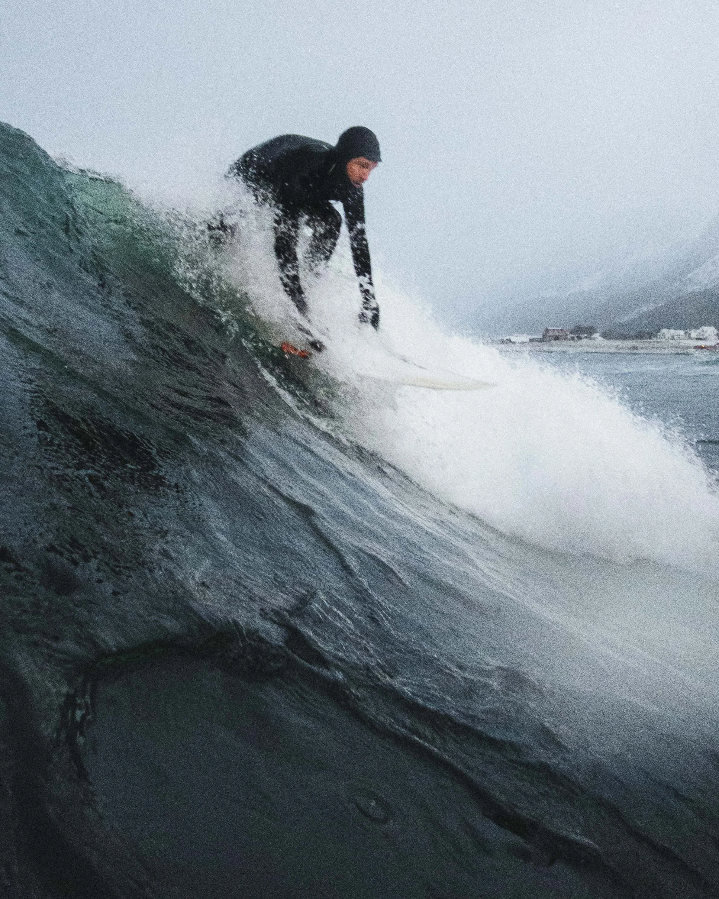 Yrjan Olsnes-204473.jpg