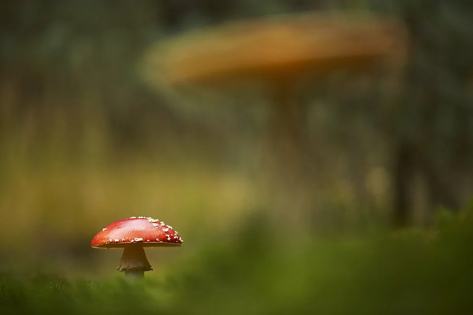 _98B7978FleigenpHK14001xun.jpg