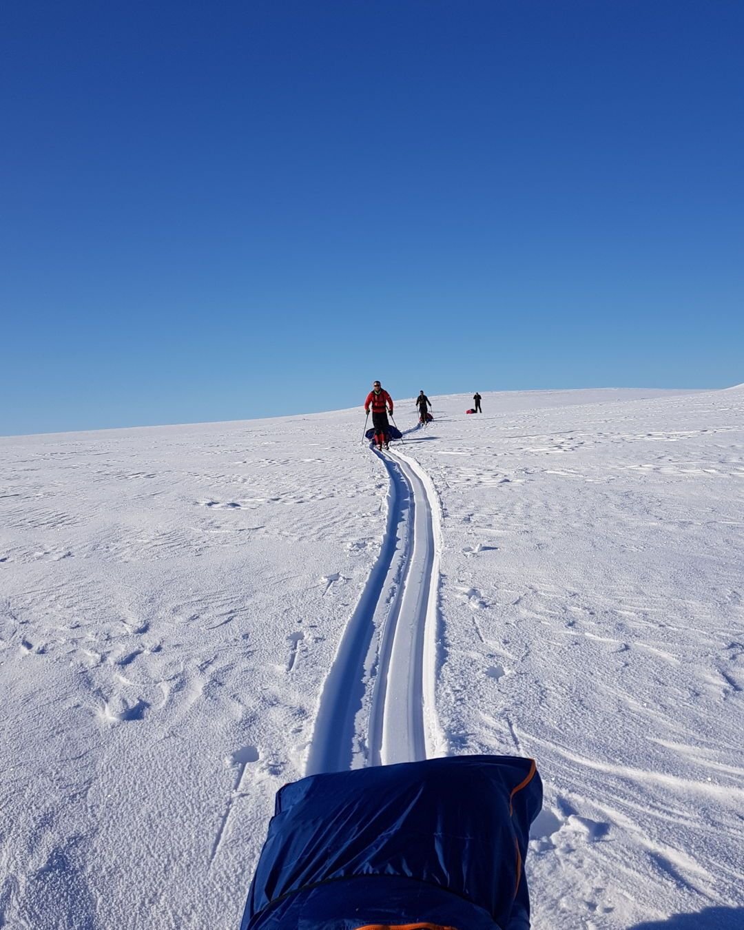 Looking back and seeing a line of confident happy clients is a great moment as a guide! 😁  We put lots of energy into supporting and coaching expedition members to become independent in the Arctic and it's really good to see when it all comes togeth