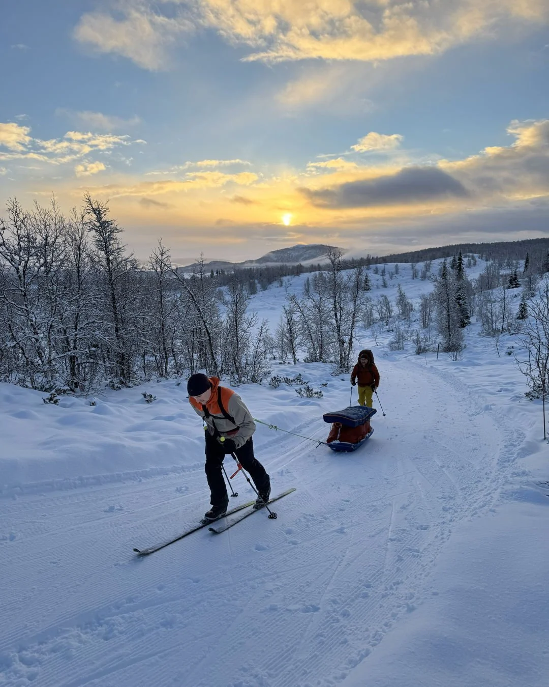Ed pulling an extremely heavy pulk on the guides training week in December - Huldreheimen 😁 ❄️. John was just mooching along behind 😉. The light was beautiful and we were on tracks but its always going to be hot work pulling something that weighs 4