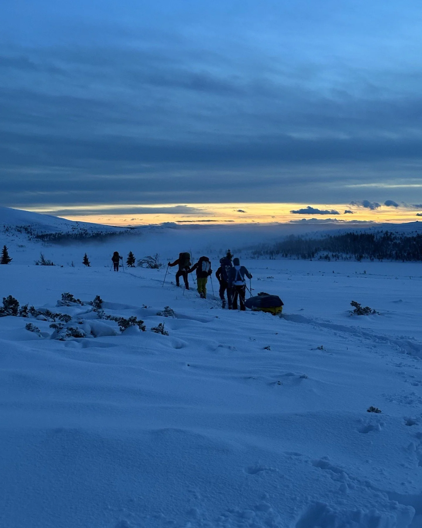 Finishing a day tired and satisfied before bunking down in your warm little tent is one of the best bits of Arctic expeditions 👌. It's always worth going out for a final look at were you are though before climbing into your sleeping bag. Night time 