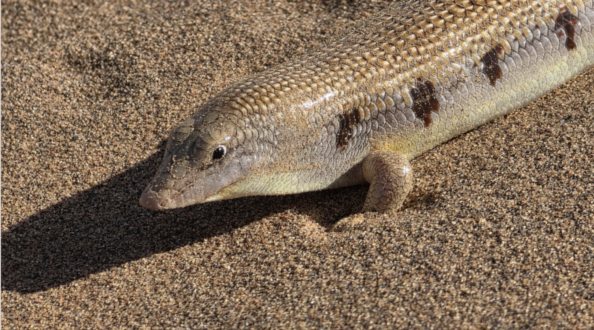 Screenshot 2026-03-30 at 12.48.20.png