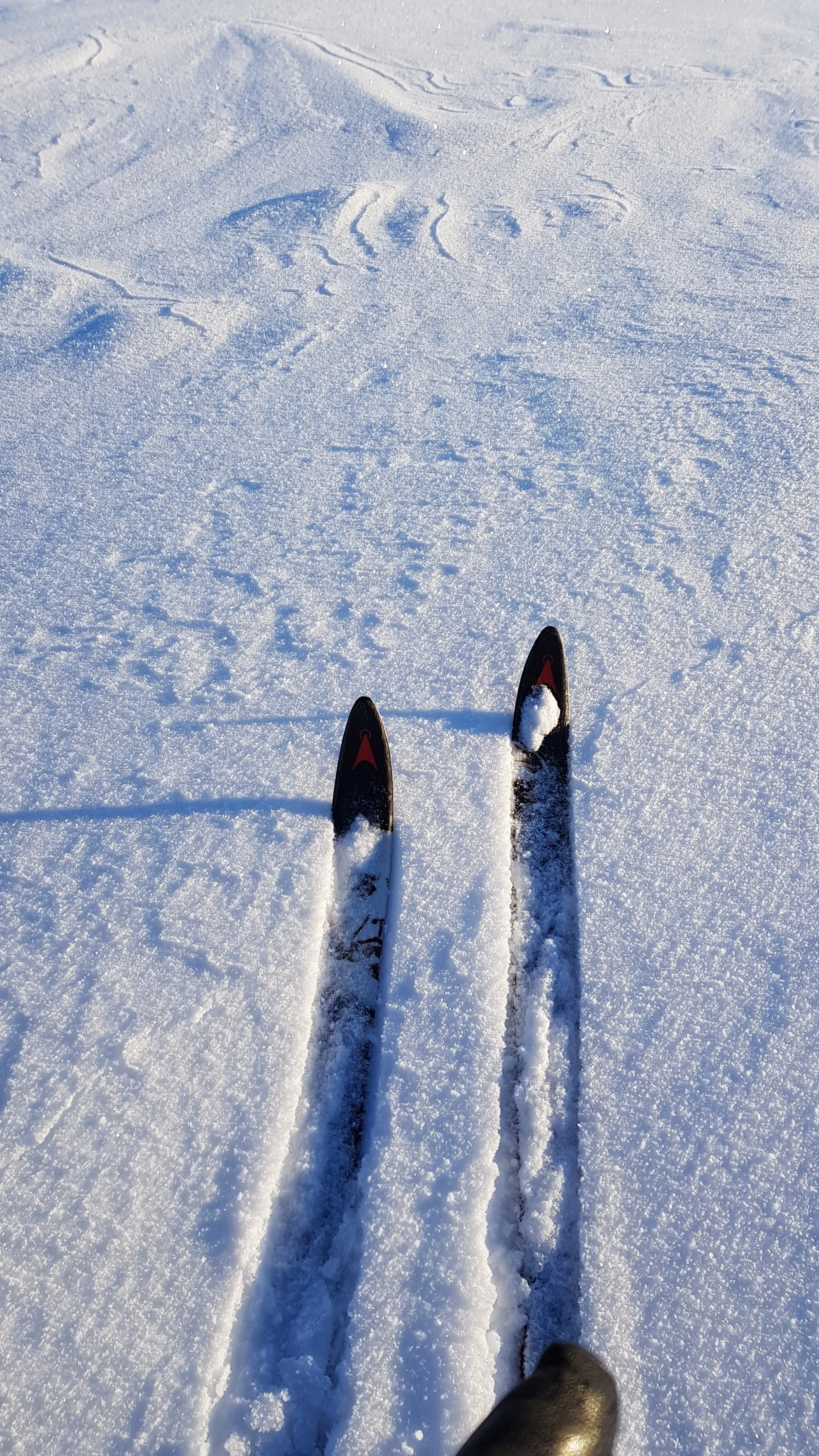 20180314_152421.jpg