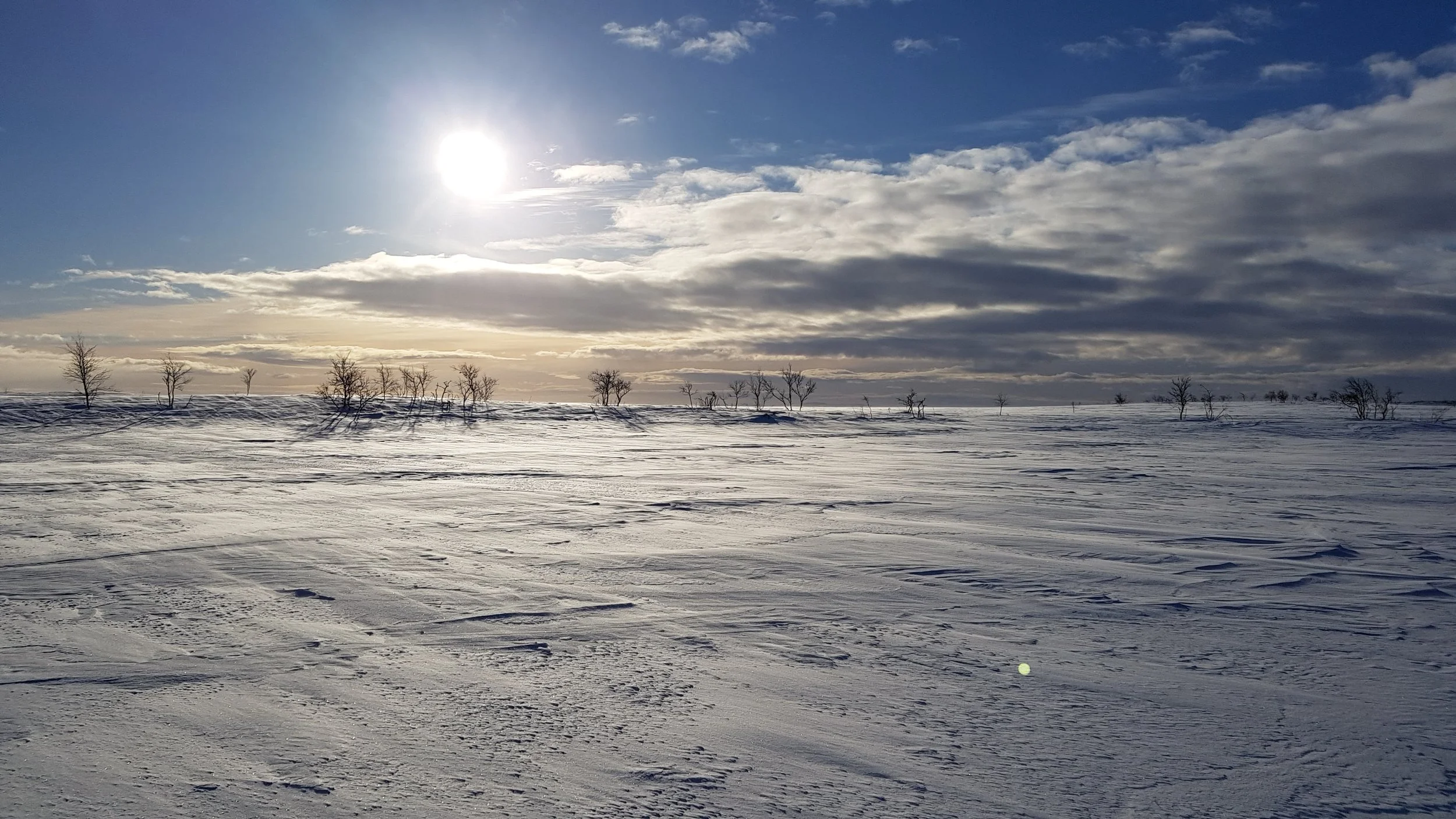 20180318_080154.jpg