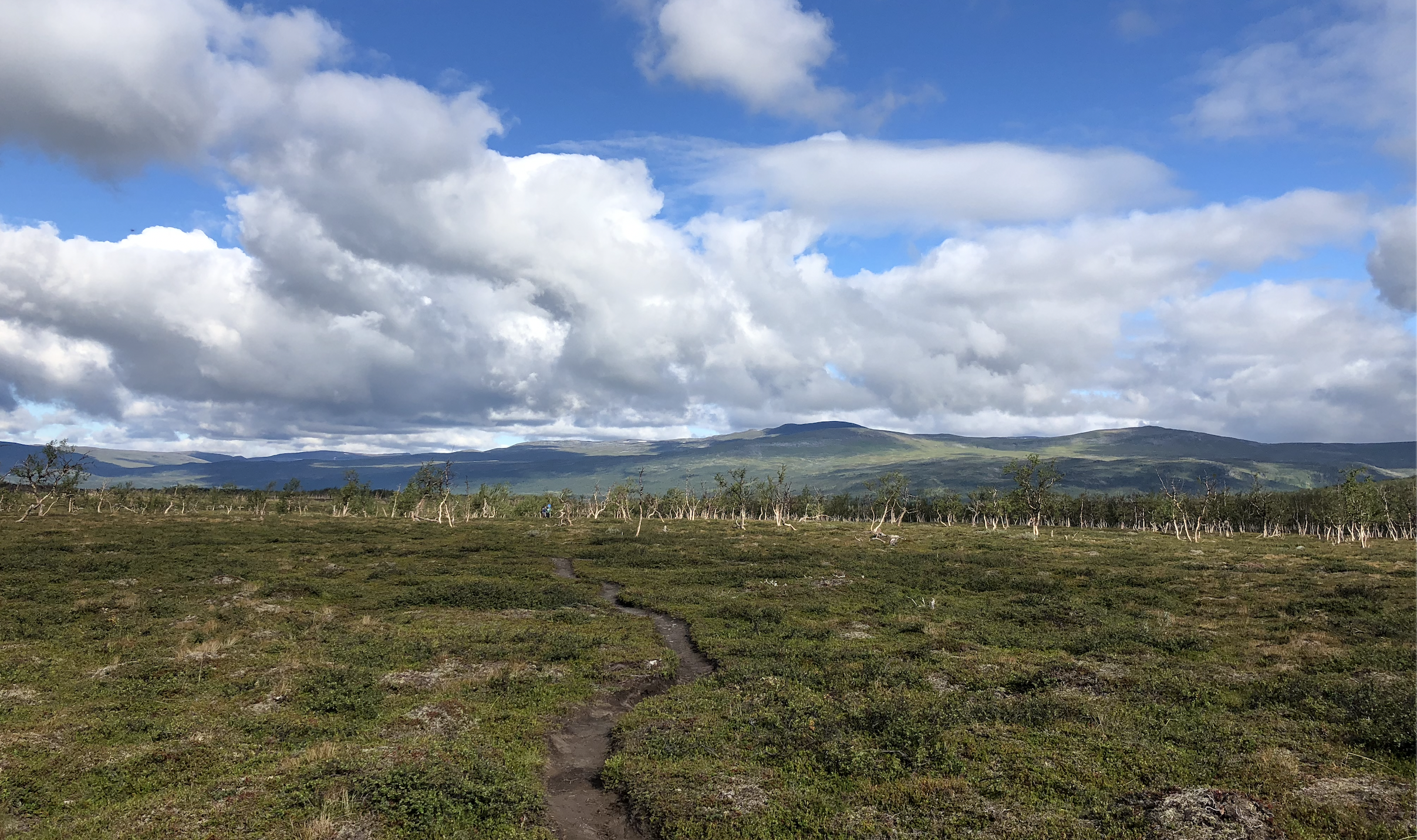 Screenshot 2026-01-01 at 19.30.44.png