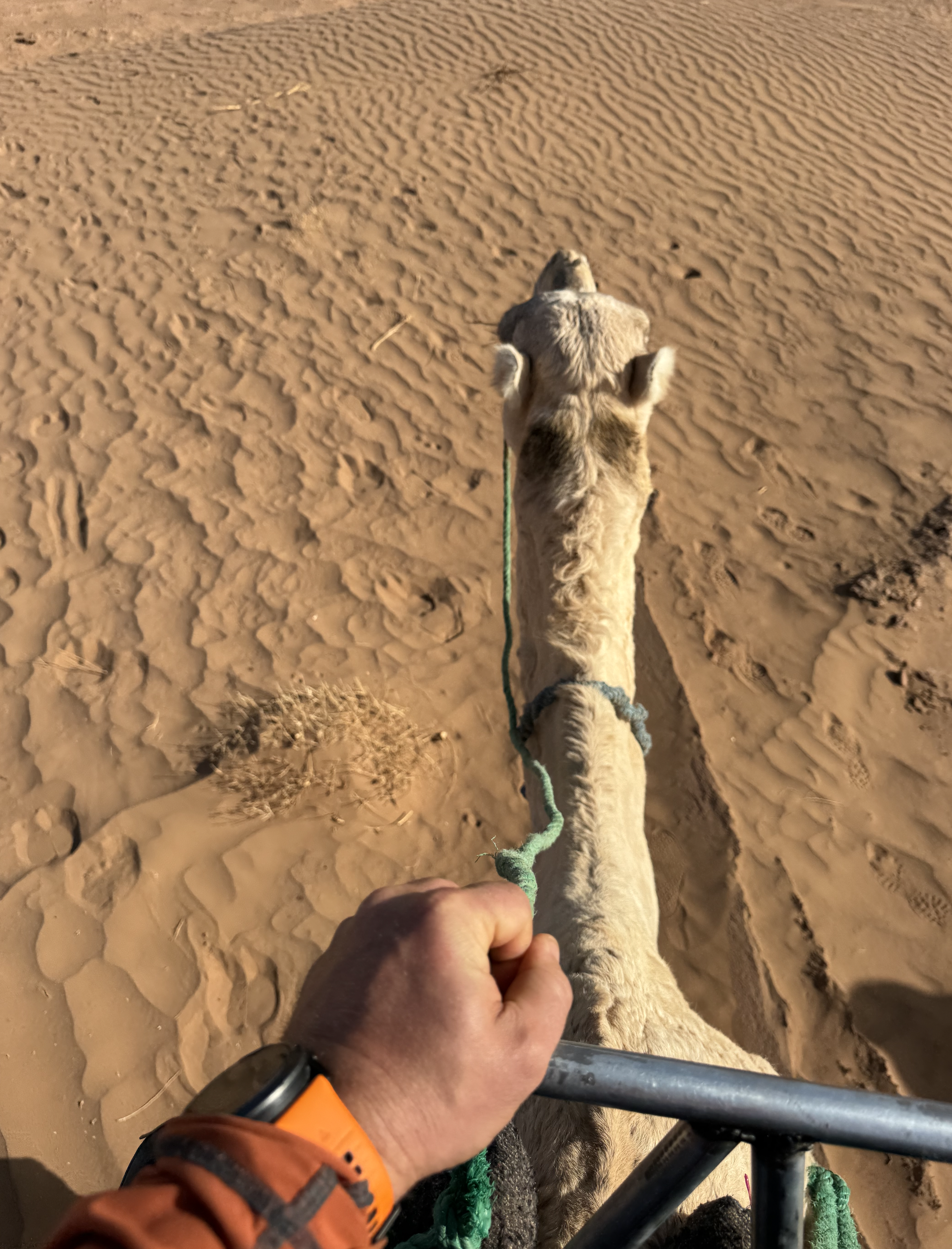 Screenshot 2026-03-30 at 13.00.31.png