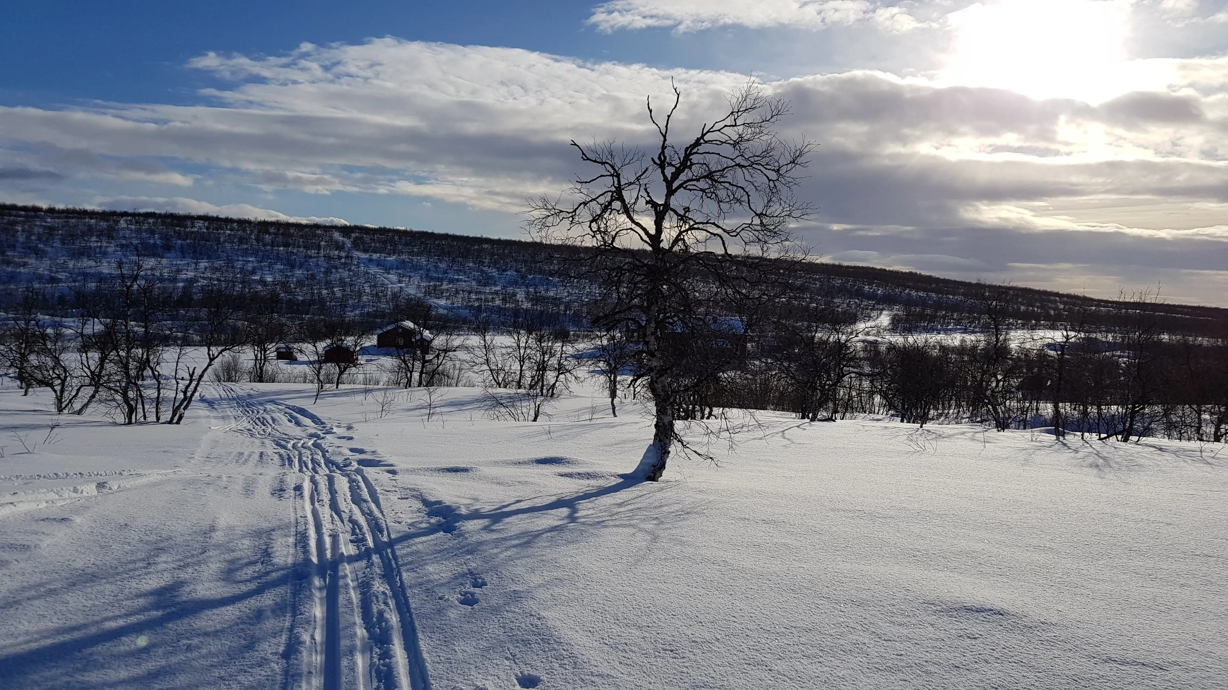 20180318_083318.jpg