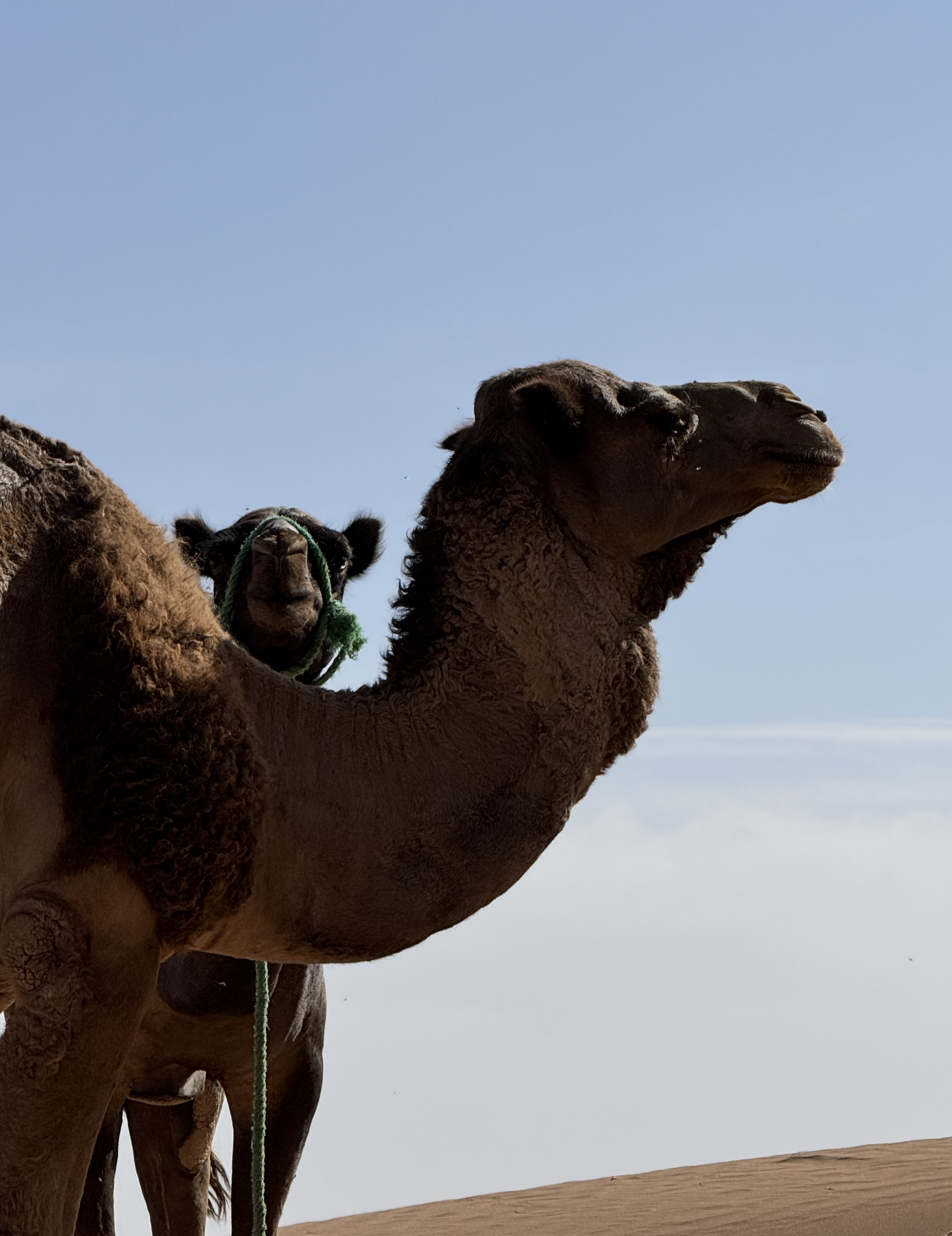 Screenshot 2026-03-30 at 13.02.13.png