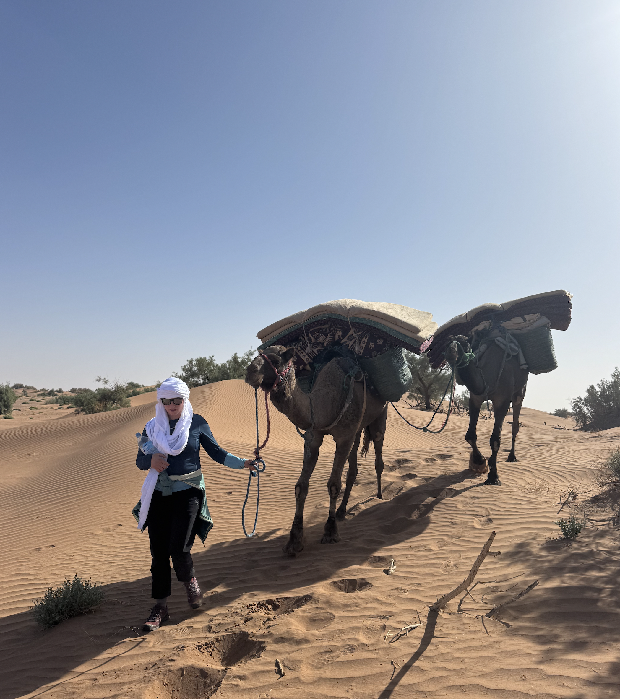 Screenshot 2026-03-30 at 13.00.08.png