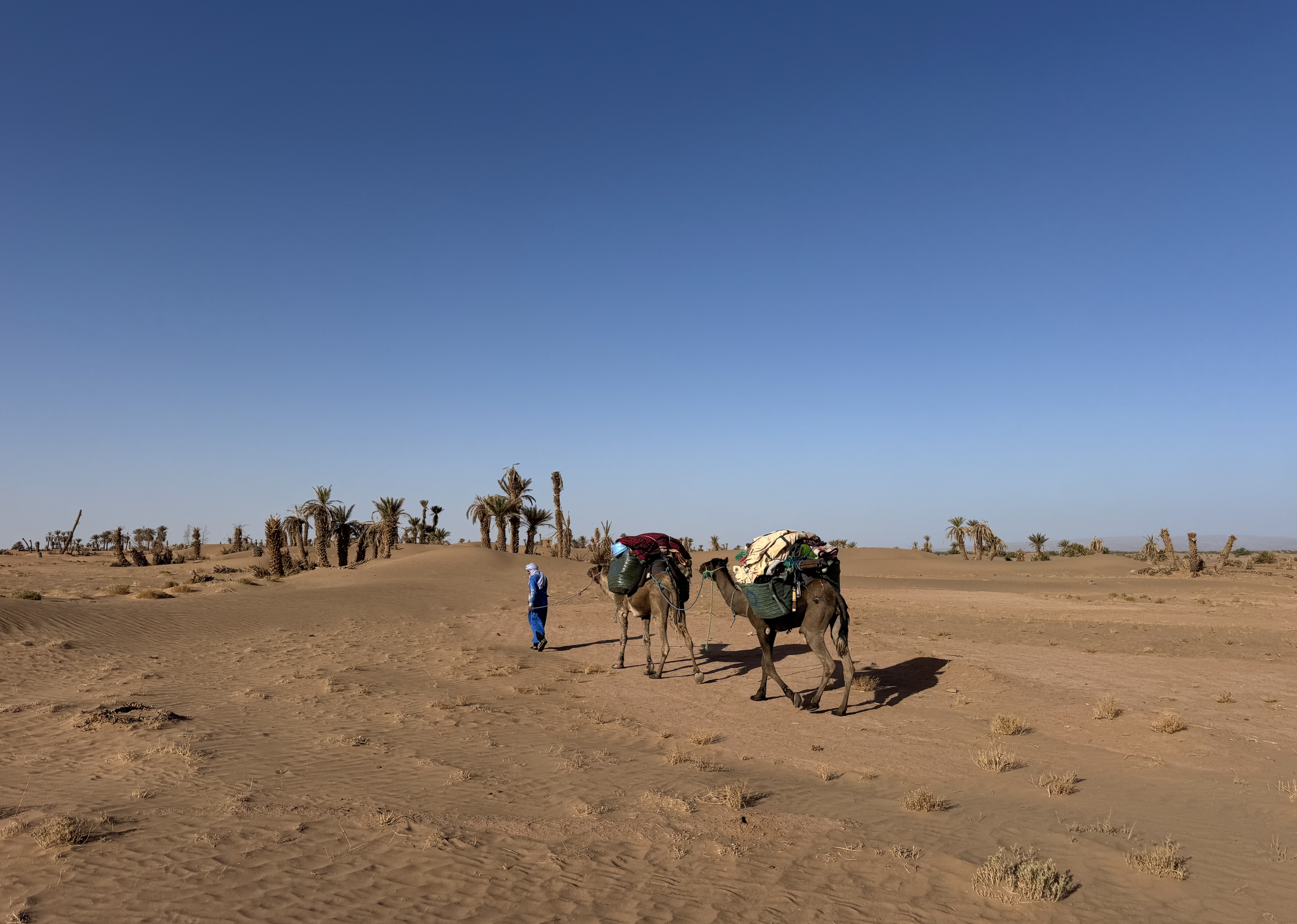 Screenshot 2026-03-30 at 13.02.33.png