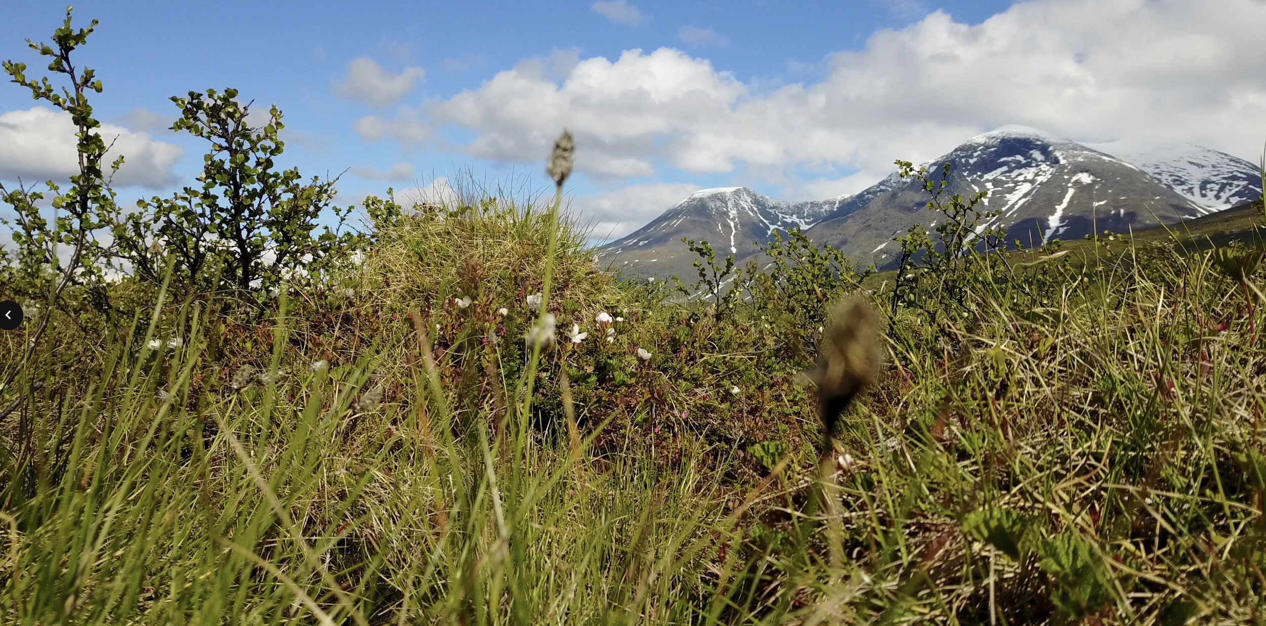 Screenshot 2026-01-01 at 19.59.07.png